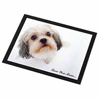 Cute Shih-Tzu Dog 