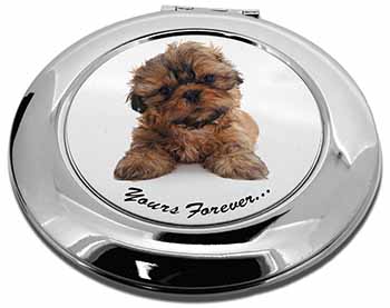 Shih Tzu Dog 