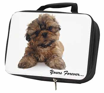 Shih Tzu Dog 