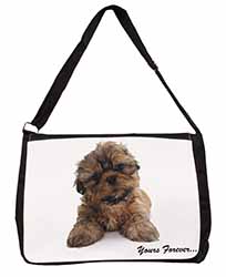 Shih Tzu Dog 