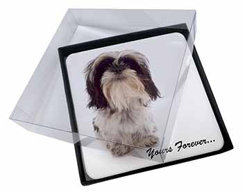 4x Shih Tzu Dog-Love Picture Table Coasters Set in Gift Box