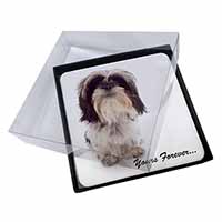 4x Shih Tzu Dog-Love Picture Table Coasters Set in Gift Box