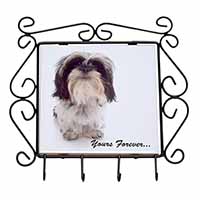 Shih Tzu Dog-Love Wrought Iron Key Holder Hooks