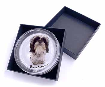 Shih Tzu Dog-Love Glass Paperweight in Gift Box