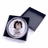 Shih Tzu Dog-Love Glass Paperweight in Gift Box