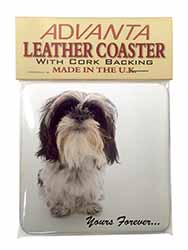 Shih Tzu Dog-Love Single Leather Photo Coaster