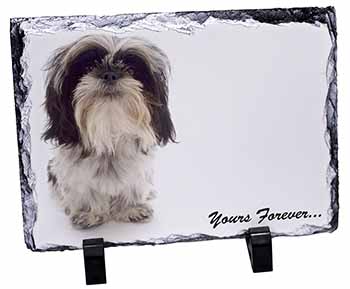 Shih Tzu Dog-Love, Stunning Photo Slate