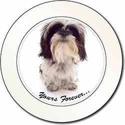 Shih Tzu Dog-Love Car or Van Permit Holder/Tax Disc Holder