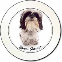 Shih Tzu Dog-Love Car or Van Permit Holder/Tax Disc Holder