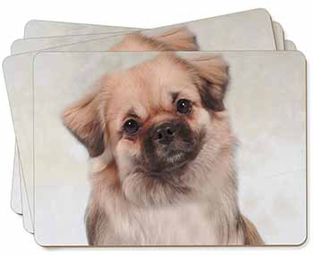 Tibetan Spaniel Dog Picture Placemats in Gift Box