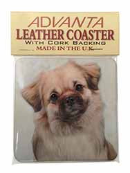 Tibetan Spaniel Dog Single Leather Photo Coaster