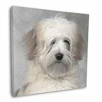 White Tibetan Terrier Dog Square Canvas 12"x12" Wall Art Picture Print