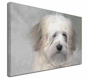 White Tibetan Terrier Dog Canvas X-Large 30"x20" Wall Art Print