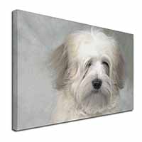 White Tibetan Terrier Dog Canvas X-Large 30"x20" Wall Art Print