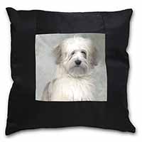 White Tibetan Terrier Dog Black Satin Feel Scatter Cushion