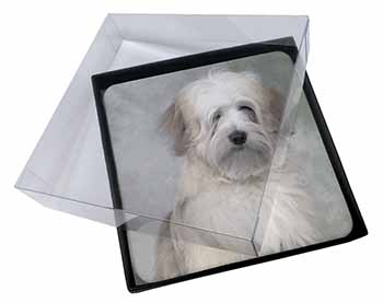 4x White Tibetan Terrier Dog Picture Table Coasters Set in Gift Box