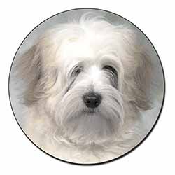 White Tibetan Terrier Dog Fridge Magnet Printed Full Colour
