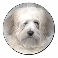 White Tibetan Terrier Dog Fridge Magnet Printed Full Colour