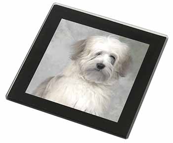 White Tibetan Terrier Dog Black Rim High Quality Glass Coaster