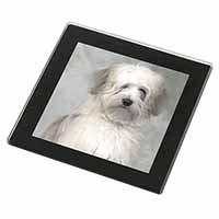 White Tibetan Terrier Dog Black Rim High Quality Glass Coaster