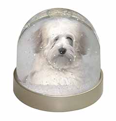 White Tibetan Terrier Dog Snow Globe Photo Waterball