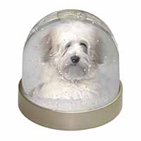 White Tibetan Terrier Dog Snow Globe Photo Waterball