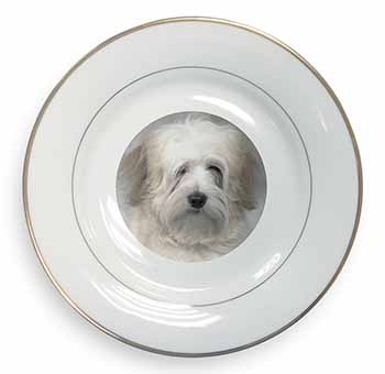 White Tibetan Terrier Dog Gold Rim Plate Printed Full Colour in Gift Box