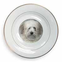 White Tibetan Terrier Dog Gold Rim Plate Printed Full Colour in Gift Box