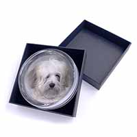 White Tibetan Terrier Dog Glass Paperweight in Gift Box