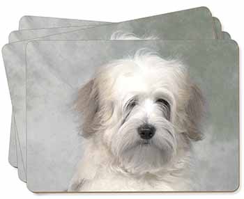 White Tibetan Terrier Dog Picture Placemats in Gift Box