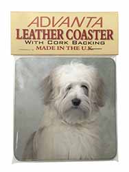 White Tibetan Terrier Dog Single Leather Photo Coaster