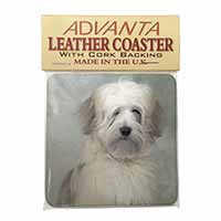 White Tibetan Terrier Dog Single Leather Photo Coaster