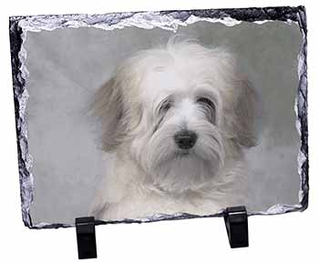 White Tibetan Terrier Dog, Stunning Photo Slate