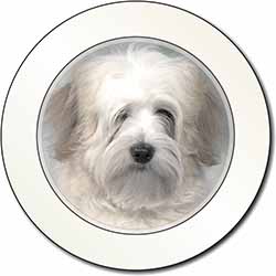 White Tibetan Terrier Dog Car or Van Permit Holder/Tax Disc Holder