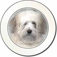 White Tibetan Terrier Dog Car or Van Permit Holder/Tax Disc Holder