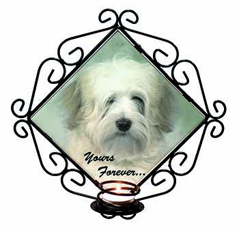 Tibetan Terrier 