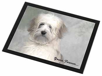 Tibetan Terrier 