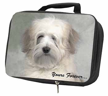 Tibetan Terrier 