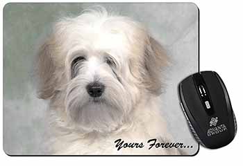 Tibetan Terrier 