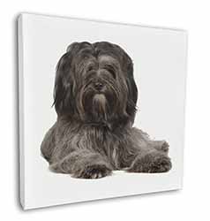 Tibetan Terrier Dog Square Canvas 12"x12" Wall Art Picture Print