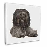 Tibetan Terrier Dog Square Canvas 12"x12" Wall Art Picture Print