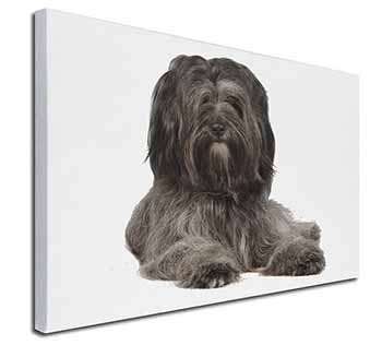 Tibetan Terrier Dog Canvas X-Large 30"x20" Wall Art Print