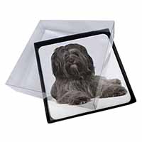 4x Tibetan Terrier Dog Picture Table Coasters Set in Gift Box