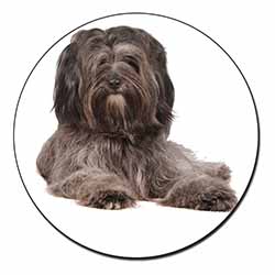 Tibetan Terrier Dog Fridge Magnet Printed Full Colour