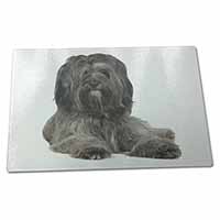 Large Glass Cutting Chopping Board Tibetan Terrier Dog