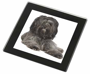 Tibetan Terrier Dog Black Rim High Quality Glass Coaster