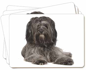 Tibetan Terrier Dog Picture Placemats in Gift Box