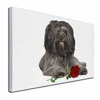 Tibetan Terrier with Red Rose Canvas X-Large 30"x20" Wall Art Print