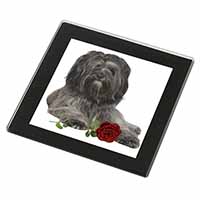 Tibetan Terrier with Red Rose Black Rim High Quality Glass Coaster