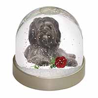 Tibetan Terrier with Red Rose Snow Globe Photo Waterball